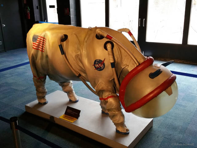 ●【画像】牛さん用の宇宙服