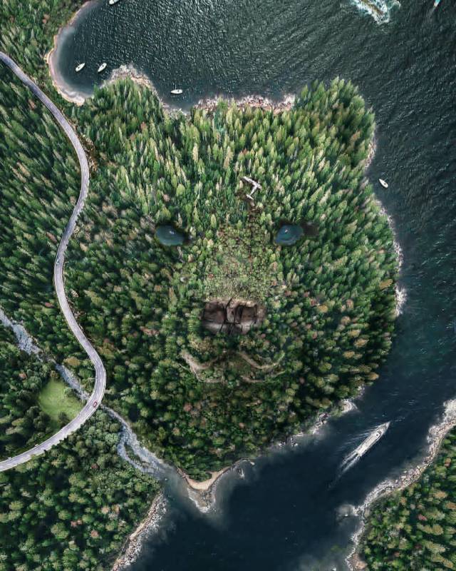 ●【画像】森の熊さん