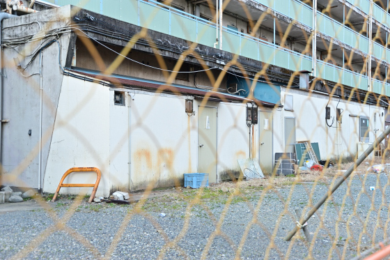 2011012911.jpg