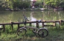 自転車＠石神井公園